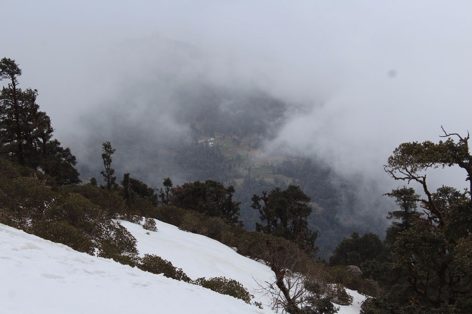 Photo of Chopta, Uttarakhand, India by Anshika