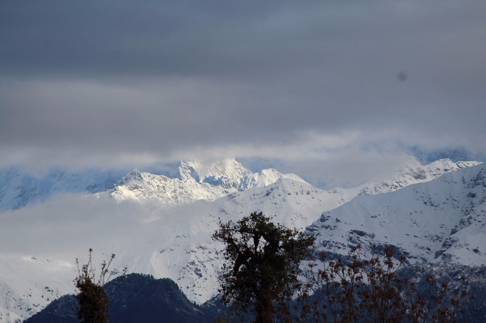 Photo of Chopta, Uttarakhand, India by Anshika