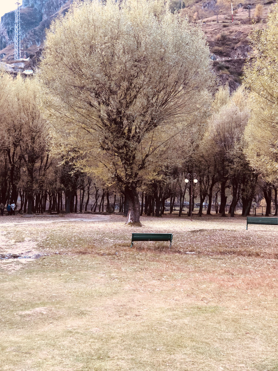 Photo of Noor E Kashmir by Anshika