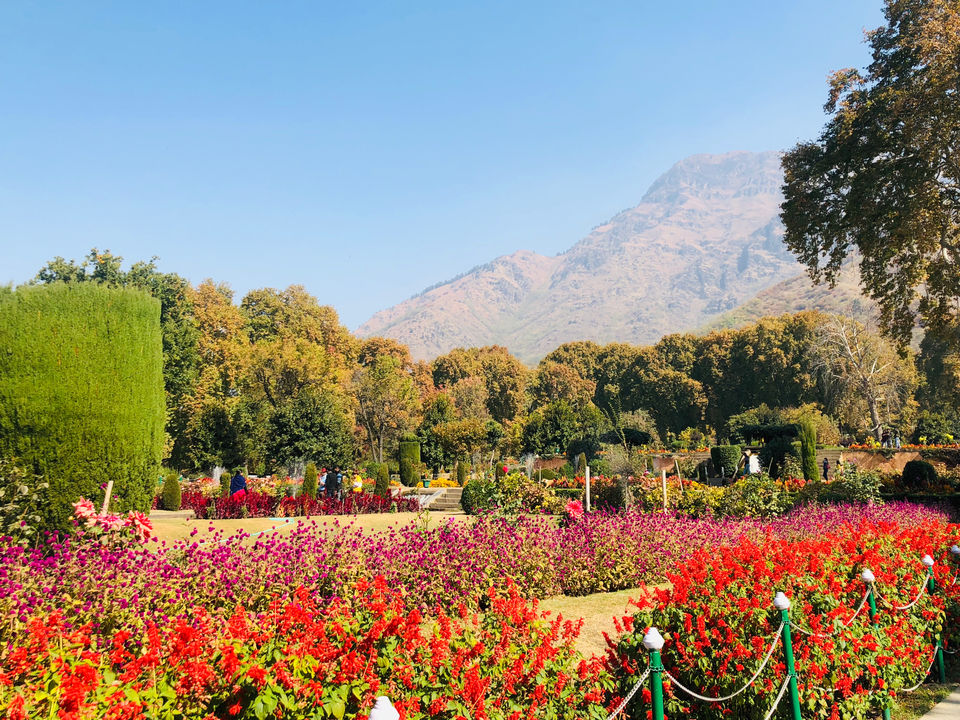 Photo of Noor E Kashmir by Anshika