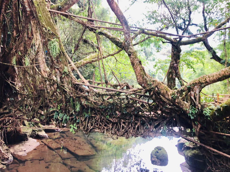 Photo of Dawki, Meghalaya, India by Anshika