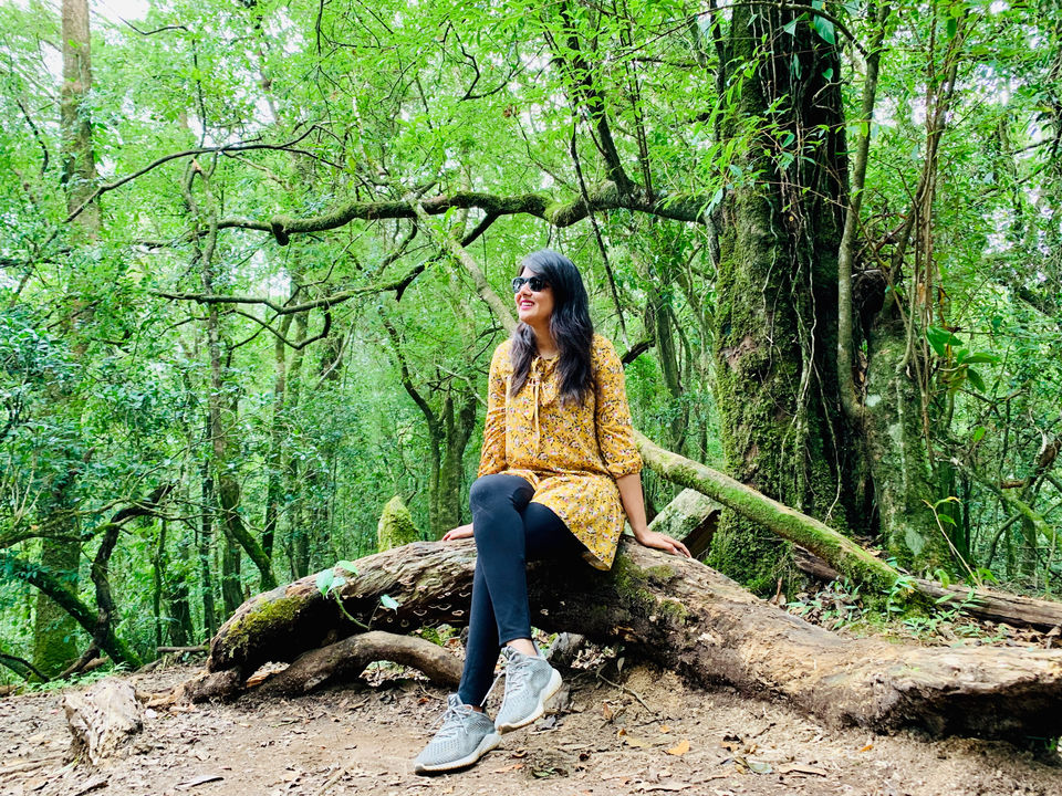 Photo of Shillong, Meghalaya, India by Anshika