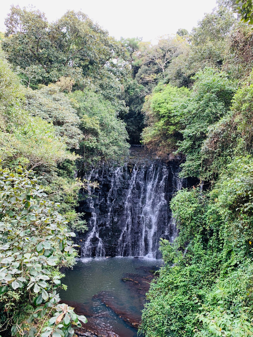 Photo of Shillong, Meghalaya, India by Anshika