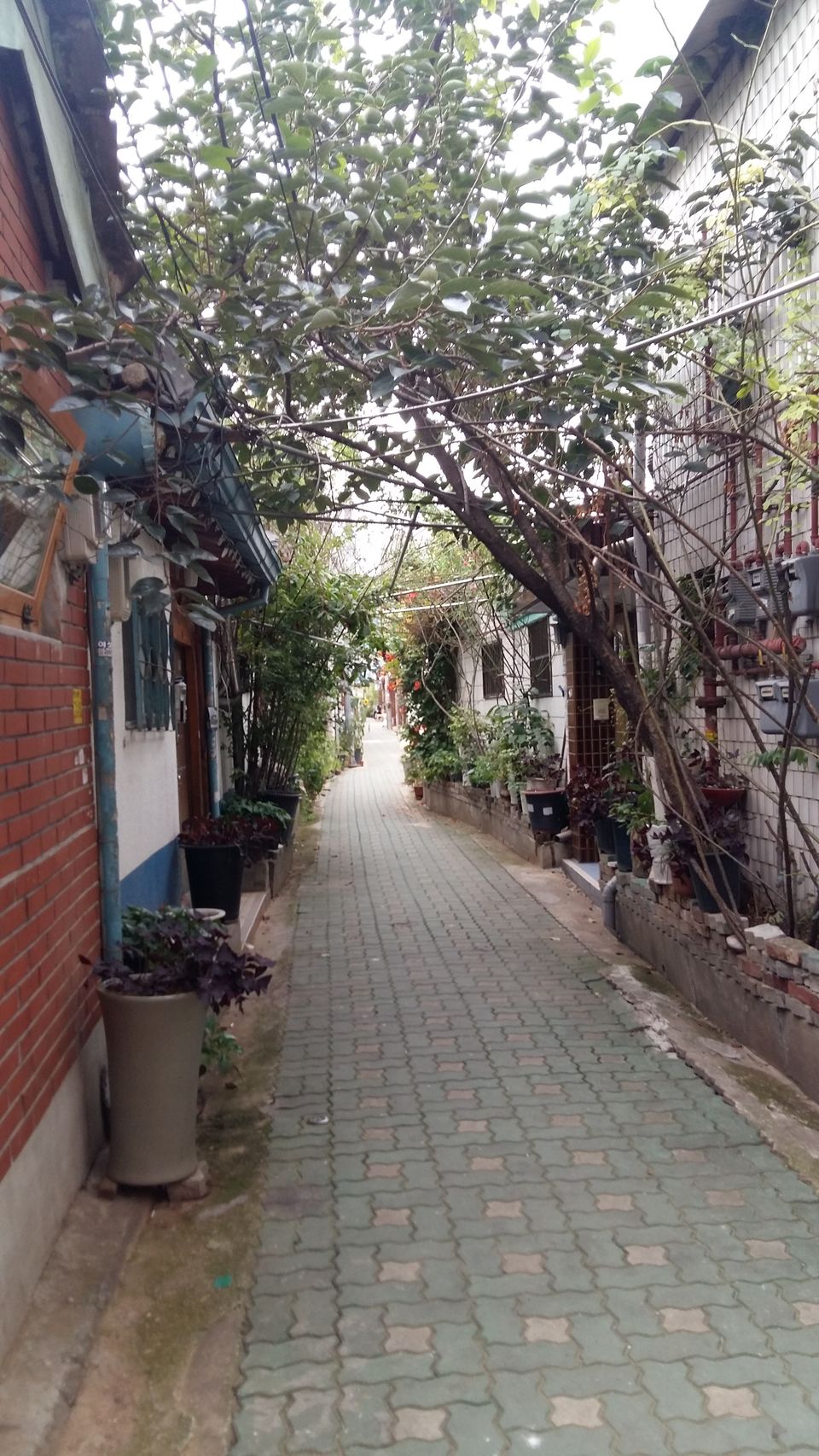 Photo of An afternoon in Ikseon-dong 1/2 by Alejandra Macías