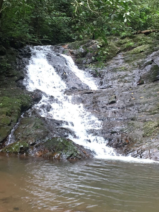 Photo of Western ghats looks different @Kodachadri by krupa