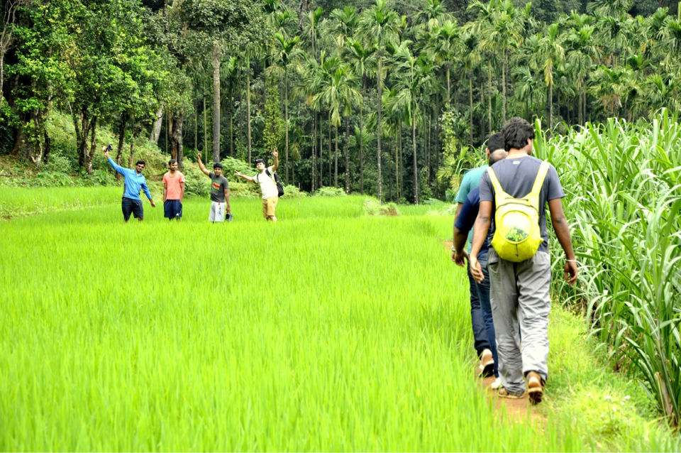 Photo of Western ghats looks different @Kodachadri by krupa