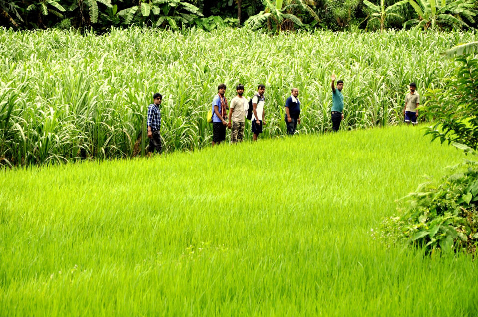 Photo of Western ghats looks different @Kodachadri by krupa