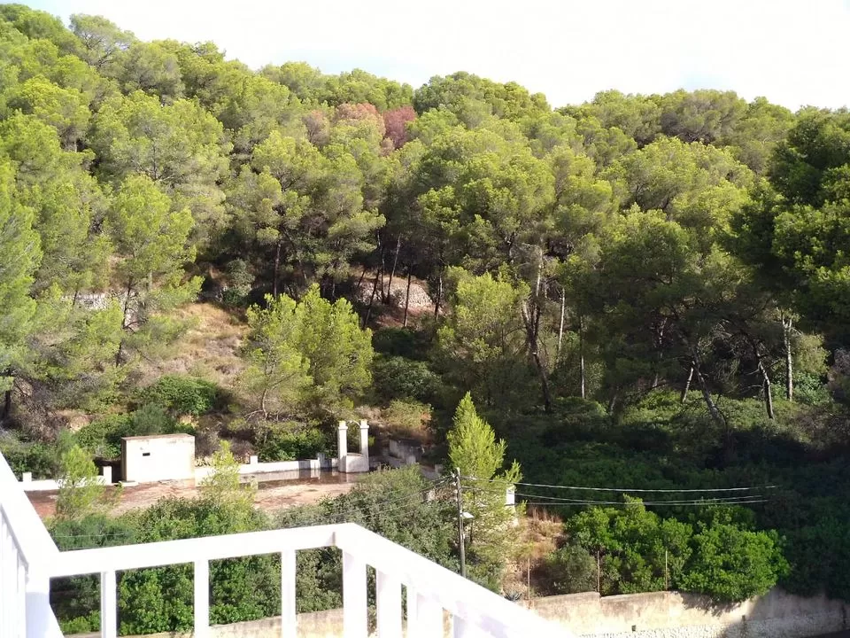 Photo of Hotel Lis Mallorca, Carrer de Margaluz, Palma, Spain by Garima & Alok