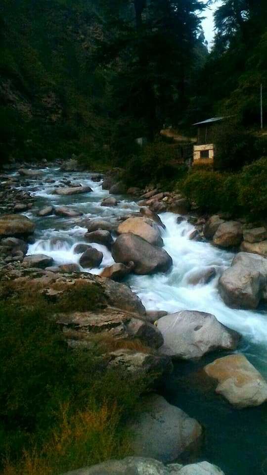 Photo of Gushaini, Market, Pekhri, Himachal Pradesh, India by Garima Yadav