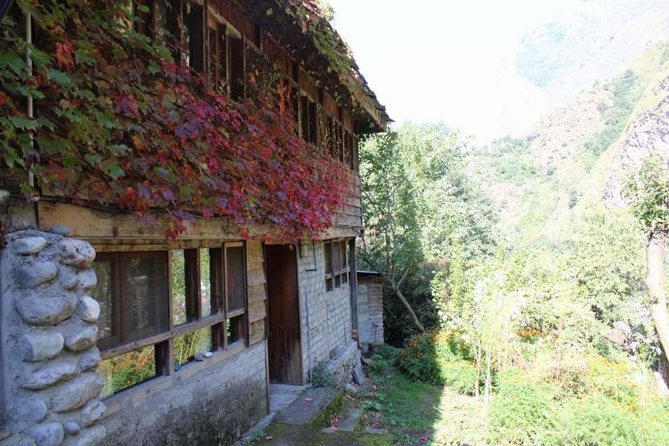 Photo of Gushaini, Market, Pekhri, Himachal Pradesh, India by Garima Yadav