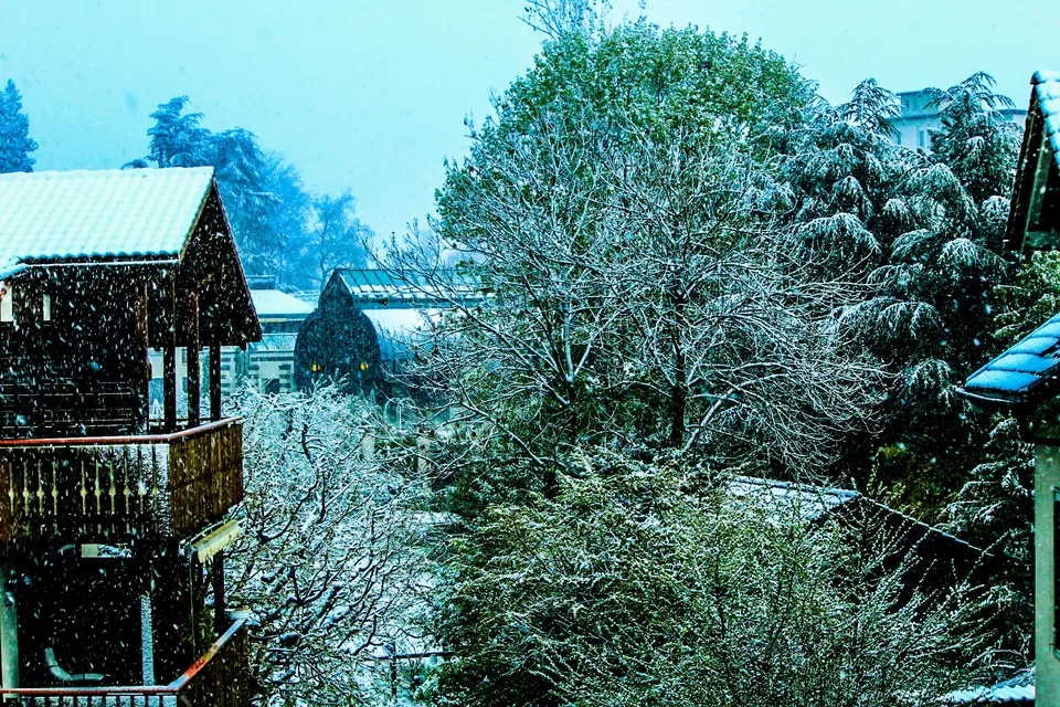 Photo of Grindelwald, Switzerland by Garima & Alok
