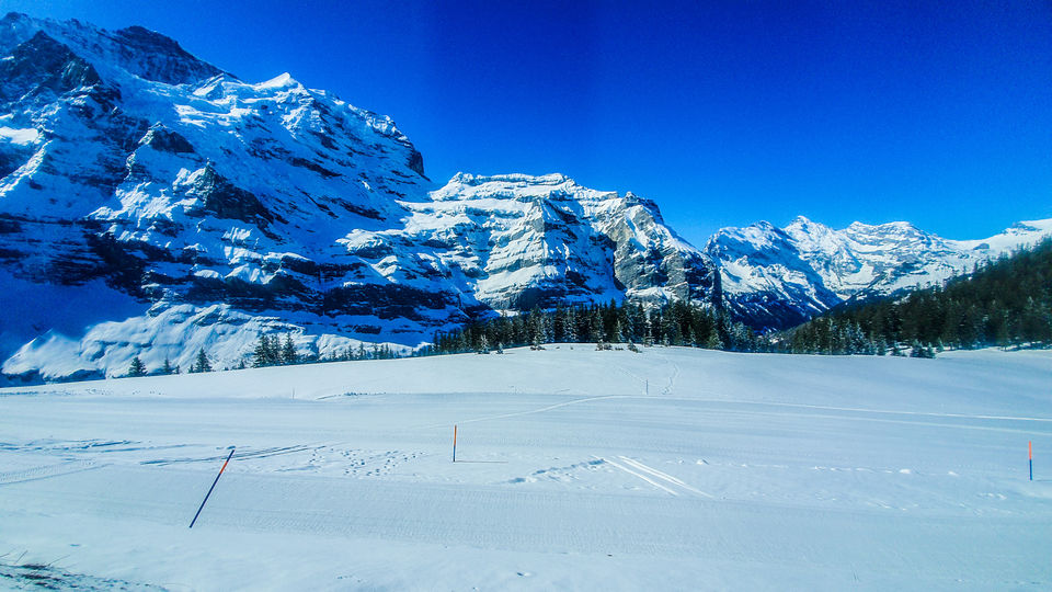 Photo of Kleine Scheidegg, Lauterbrunnen, Switzerland by Garima & Alok