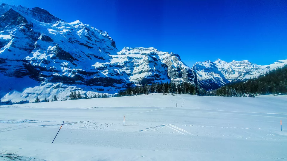 Photo of Kleine Scheidegg, Lauterbrunnen, Switzerland by Garima & Alok