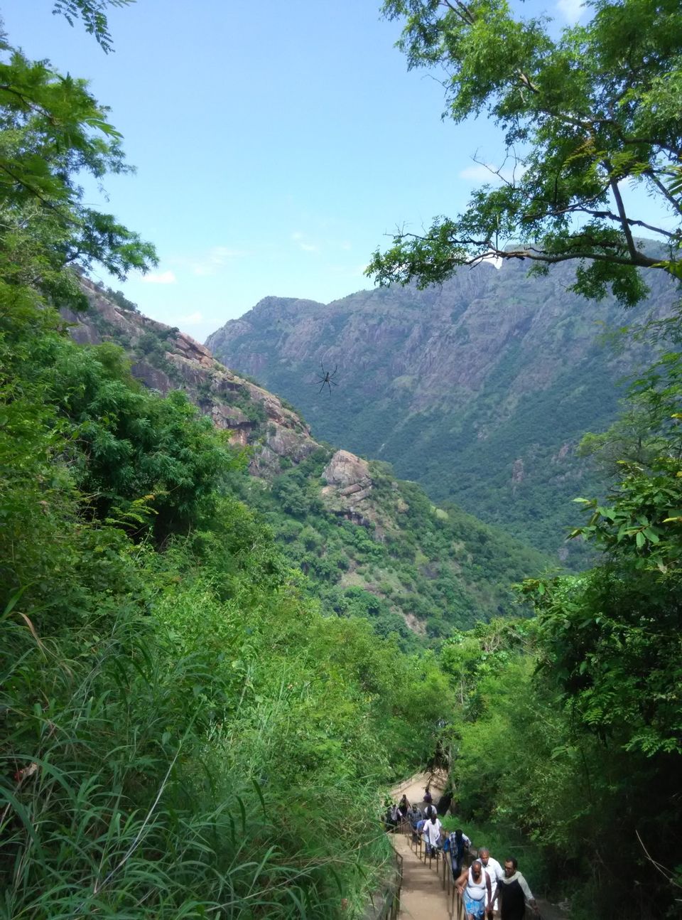 Photo of Refreshing Kolli Hills 2/9 by Rajesh Thiagarajan