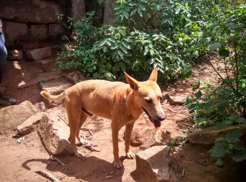Photo of Skandagiri Trek - an awesome start! 4/7 by Rajesh Thiagarajan