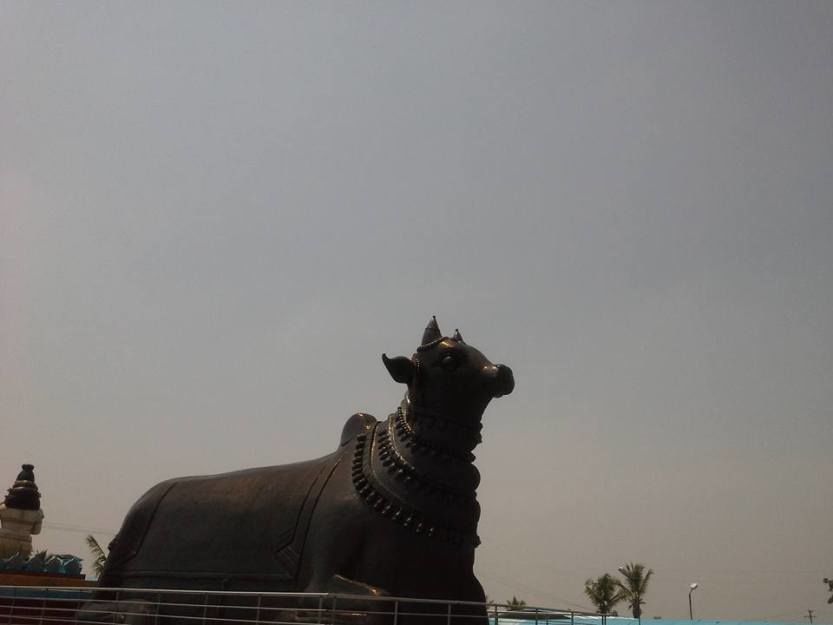 Photo of Hidden Temples in India- Temple with 10 Million ShivLingas 4/6 by Rajesh Thiagarajan