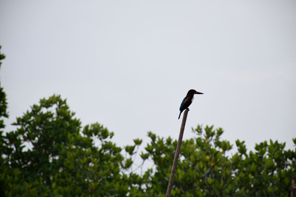 Photo of Cinnamon Island, Galle, Southern Province, Sri Lanka by Rajesh Thiagarajan
