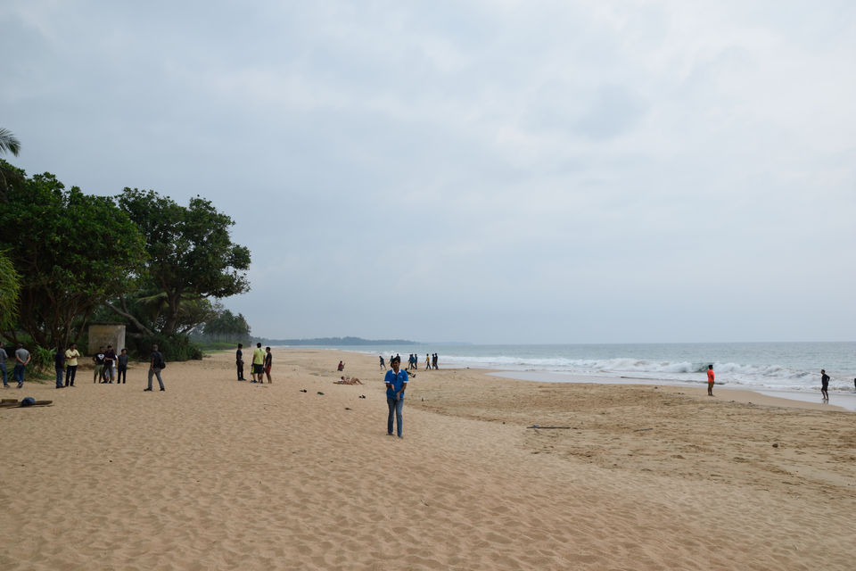 Photo of Kosgoda Sea Turtle Conservation Project, Kosgoda, Sri Lanka by Rajesh Thiagarajan