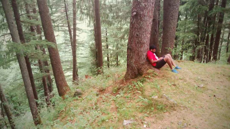 Photo of Pulga - The unexplored gem of Himachal by the_tripster