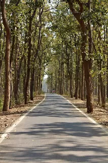 Photo of Kumarawand, Chhattisgarh, India by Manohar Leeladhar