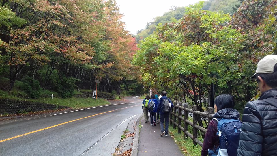 Photo of Chasing autumn in Japan by Amritha