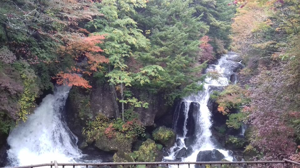 Photo of Chasing autumn in Japan by Amritha