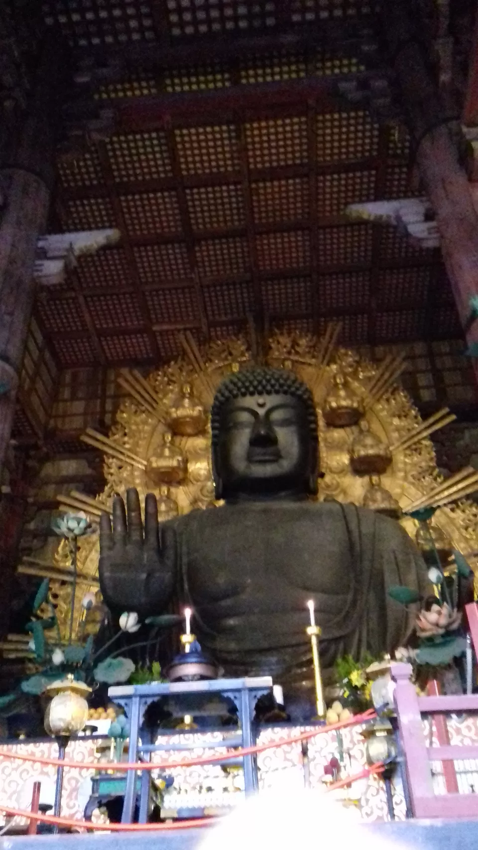 Photo of Nara, Nara Prefecture, Japan by Amritha