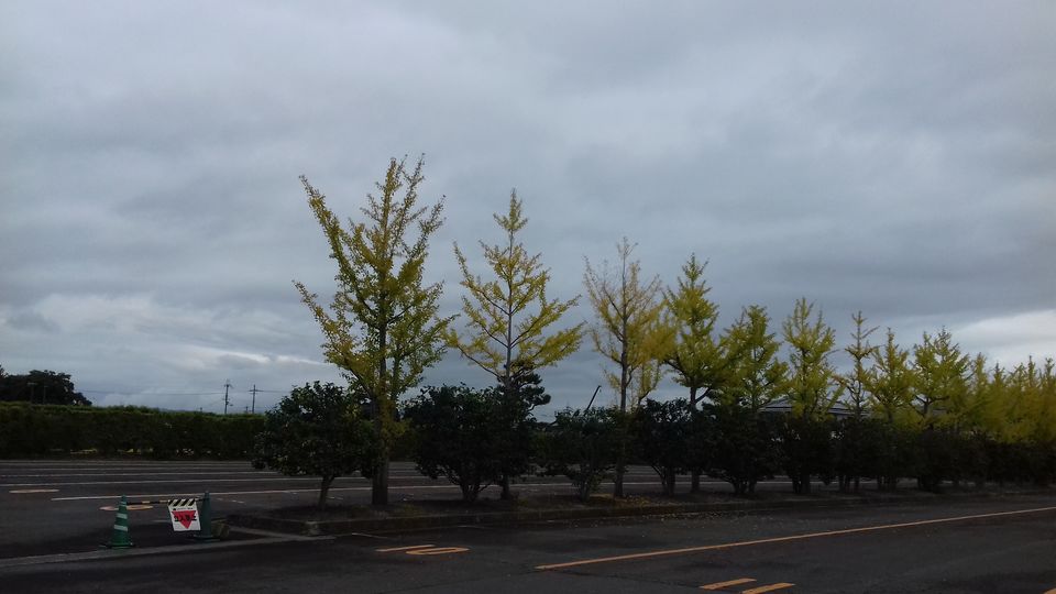 Photo of How to lose your way in Nara, Japan and enjoy it by Amritha