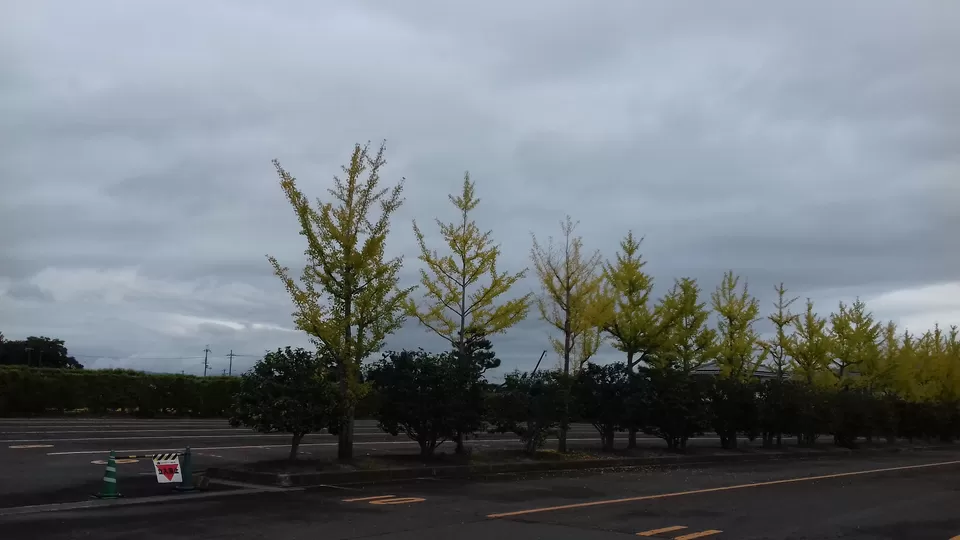 Photo of How to lose your way in Nara, Japan and enjoy it by Amritha