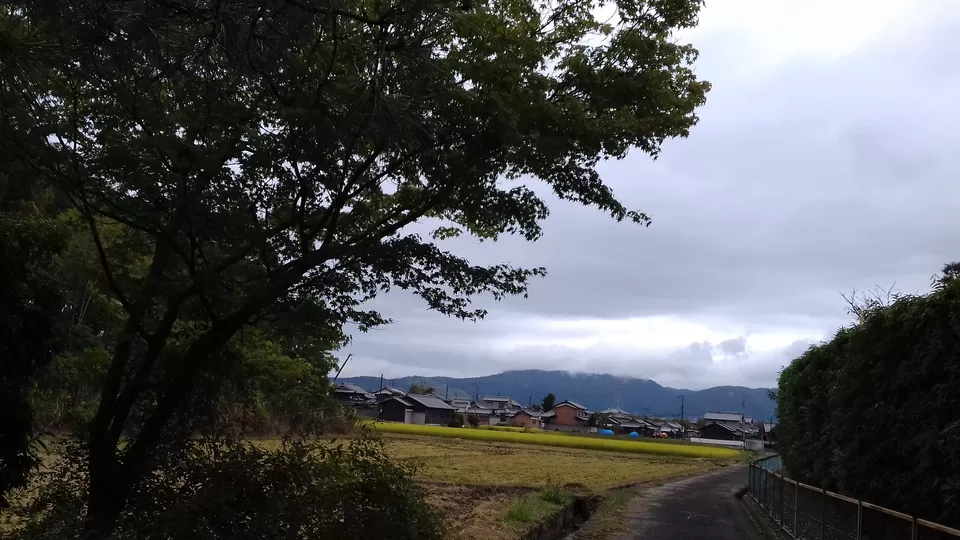 Photo of How to lose your way in Nara, Japan and enjoy it by Amritha