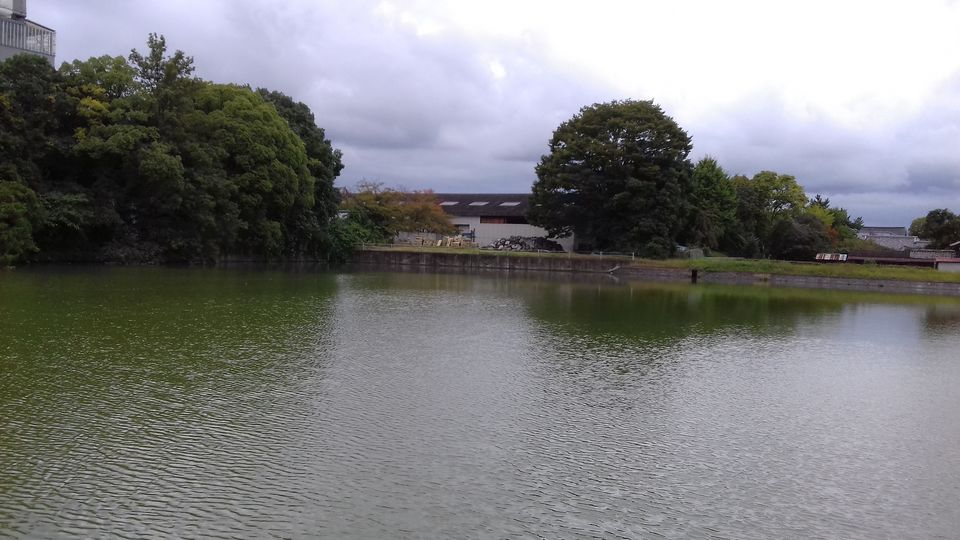 Photo of How to lose your way in Nara, Japan and enjoy it by Amritha