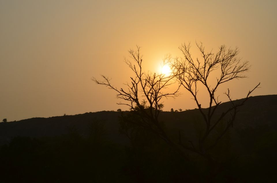 Photo of Short treks/Hikes around Bangalore:Saavandurga by Shrivathsa Udupa