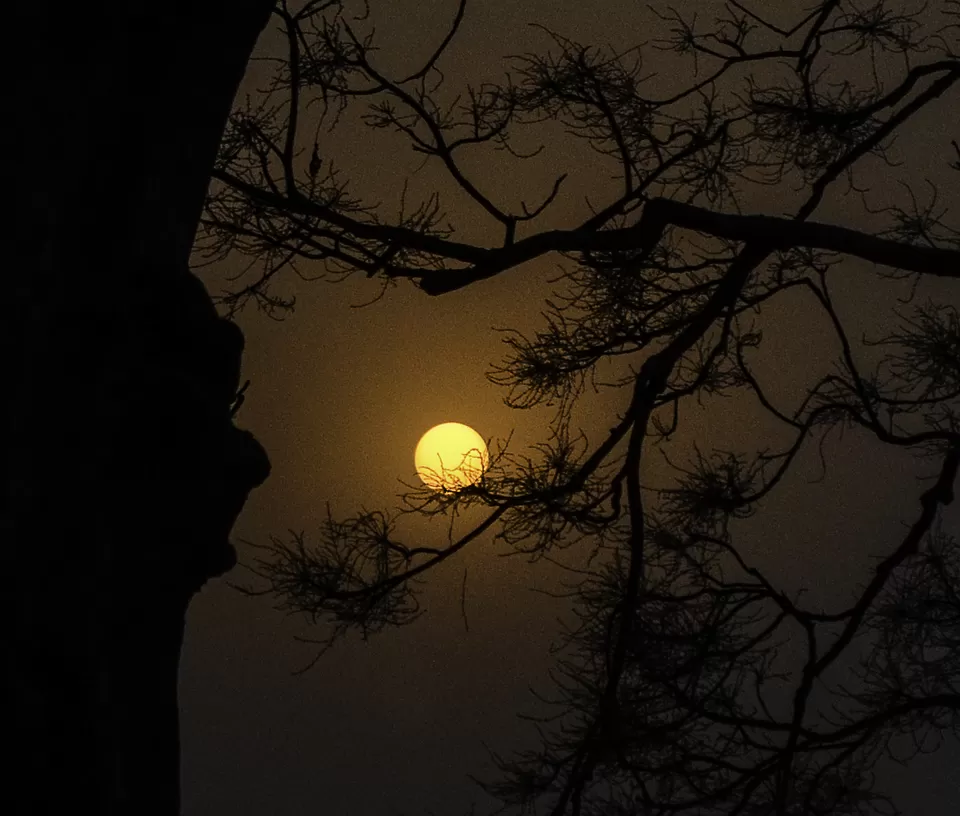 Photo of North East India: The Untouched Beauty by Shrivathsa Udupa