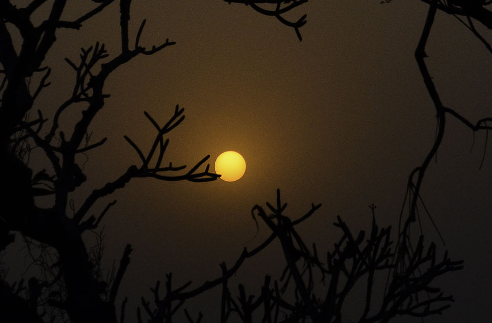Photo of North East India: The Untouched Beauty by Shrivathsa Udupa