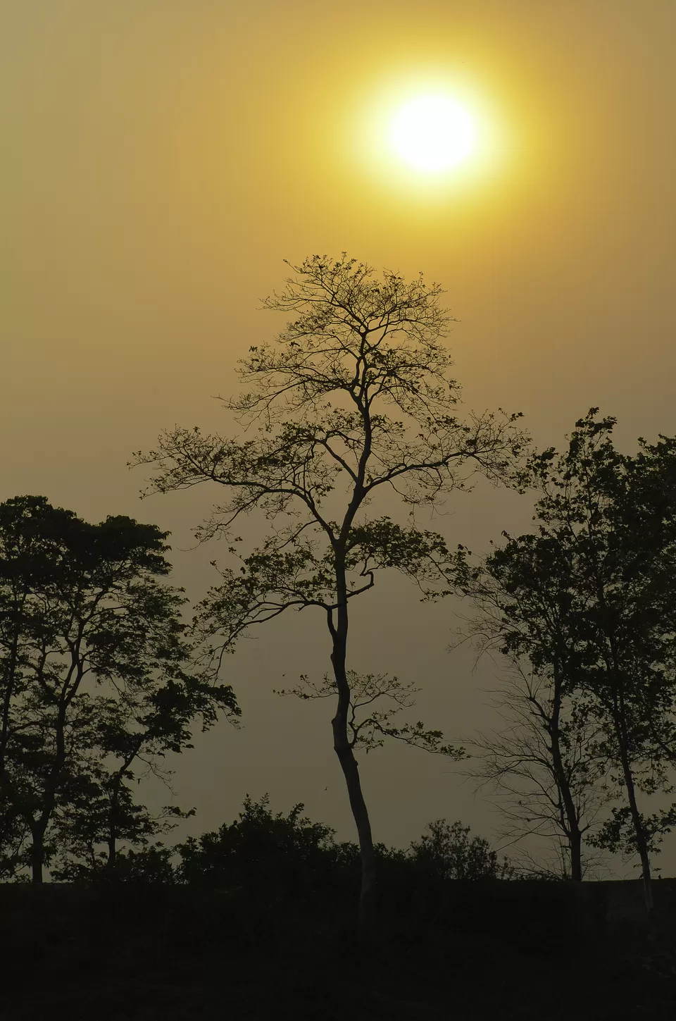 Photo of North East India: The Untouched Beauty by Shrivathsa Udupa
