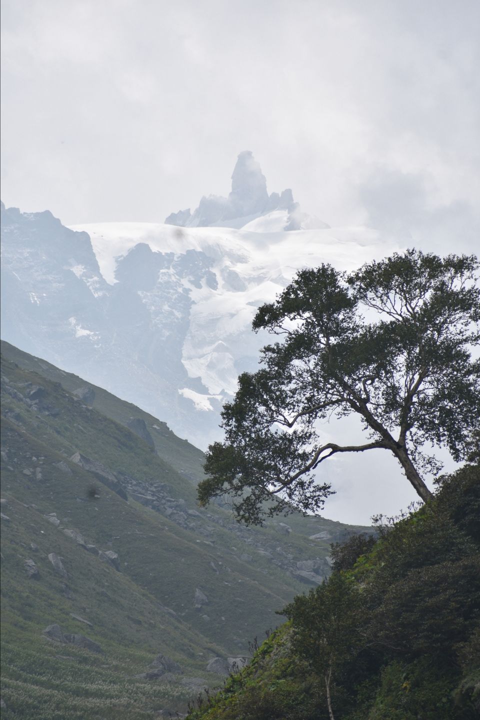 Photo of Hampta pass & Chandrataal by Aman Taneja