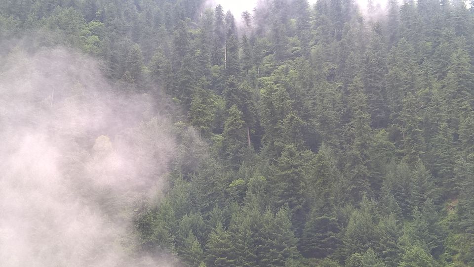 Photo of KASOL KI KASHISH 11/17 by haya kaul