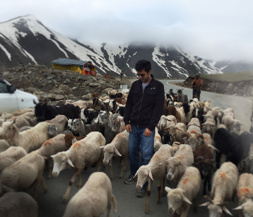 Photo of When I saw Kashmir like a Local 1/9 by Ali Ukani