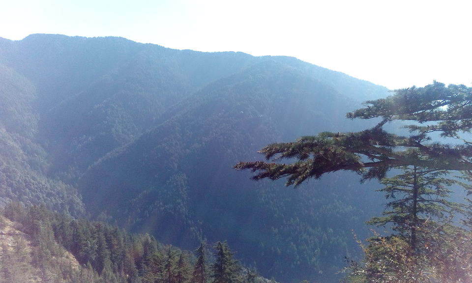 Photo of CAPTURING QUEEN OF HILLS.... 2/4 by mahima sahani
