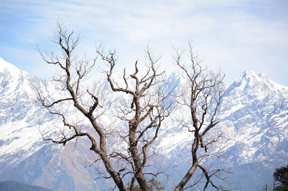 Photo of A roadtrip to the heaven called Munsyari 1/13 by shivansh Mahar