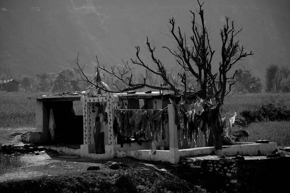 Photo of A roadtrip to the heaven called Munsyari 3/13 by shivansh Mahar