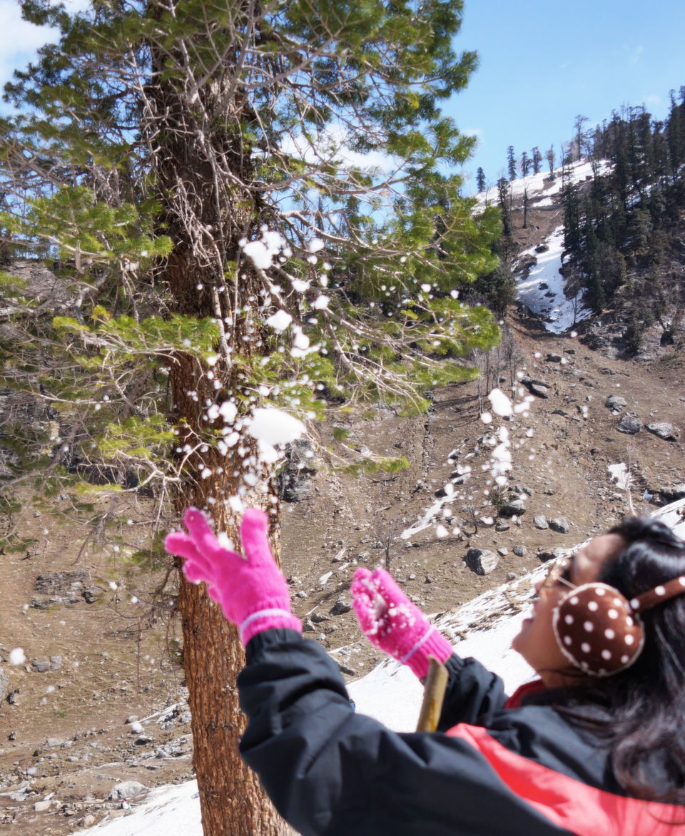 Photo of Magical Manali: Stories and Sights 18/35 by Amrita Priyadarsini
