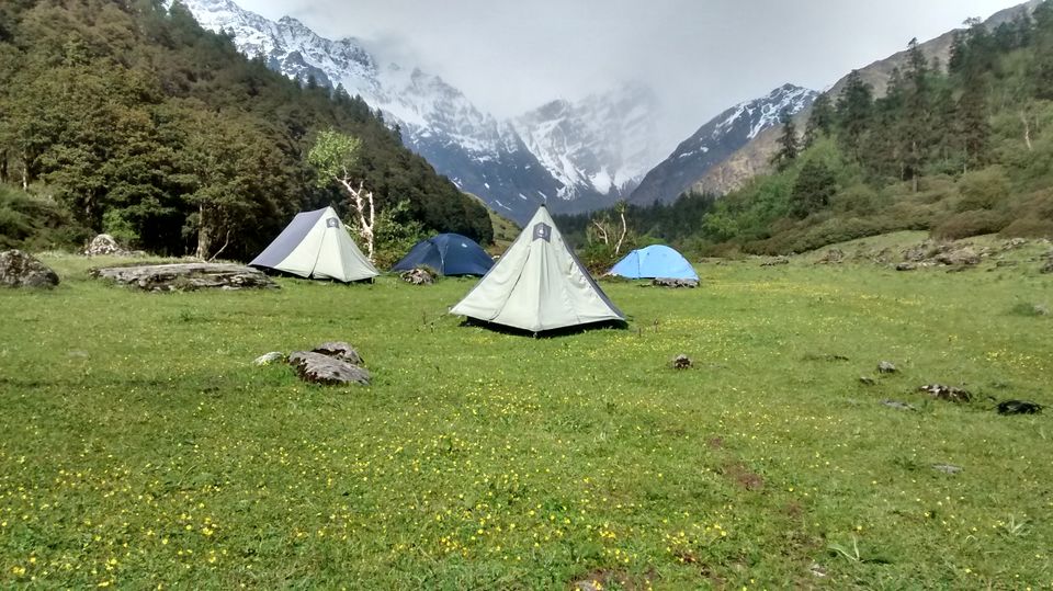 Photo of 30 Days in the Mountains: My Experience at Nehru Institute of Mountaineering by Shivani Panwar