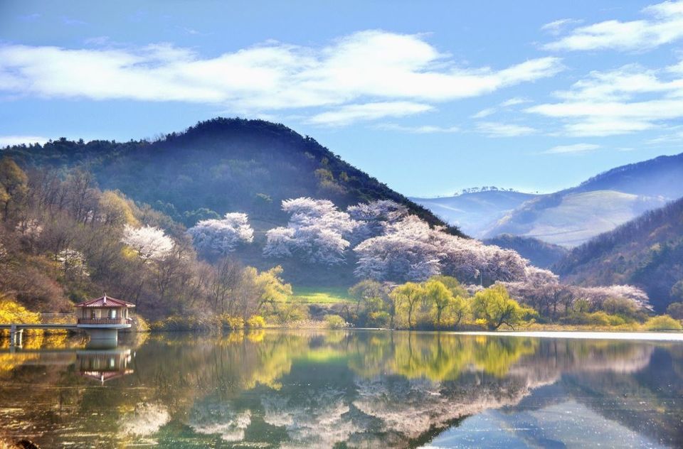 Photo of 4 International Scenic Motorcycle Road Trip Destinations 1/4 by Kara Masterson