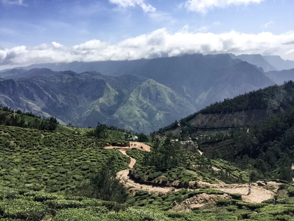 Photo of Kolukkumalai Tea Estate, Kottagudi, Tamil Nadu, India by Vinod Kumar