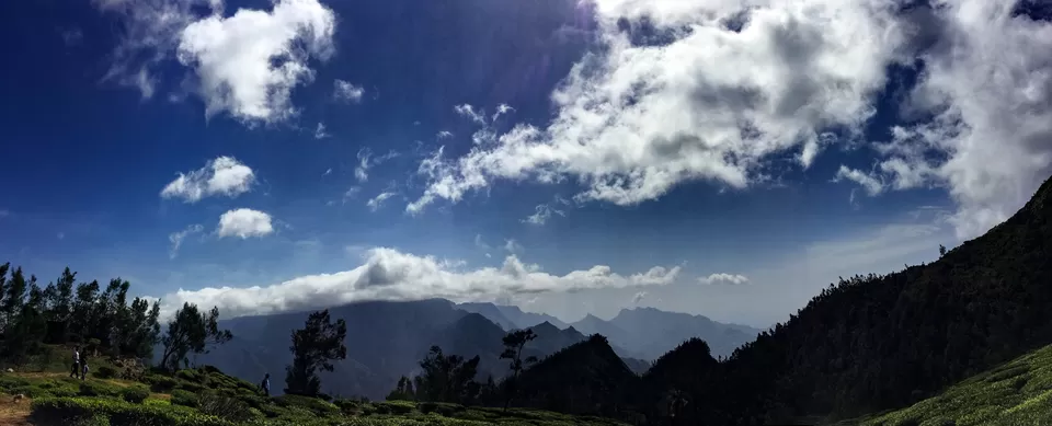 Photo of Kolukkumalai Tea Estate, Kottagudi, Tamil Nadu, India by Vinod Kumar