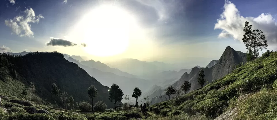 Photo of Kolukkumalai Tea Estate, Kottagudi, Tamil Nadu, India by Vinod Kumar