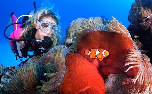 Photo of MY 21 TRAVEL BUCKET LIST | HER CUTEBAY 16/22 by Jessie Florence