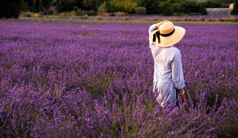 Photo of MY 21 TRAVEL BUCKET LIST | HER CUTEBAY 10/22 by Jessie Florence