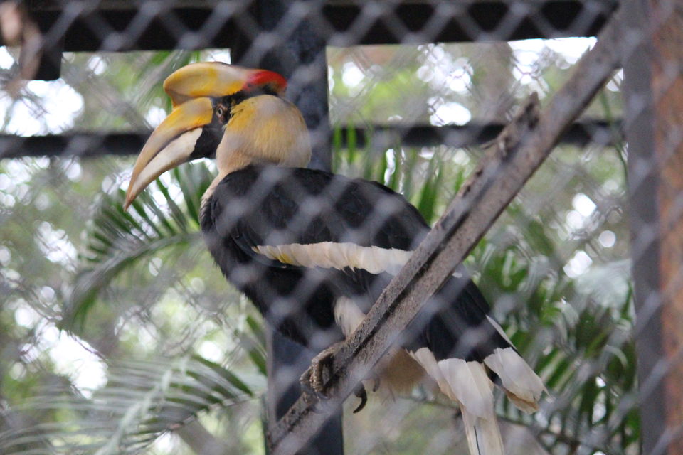 Photo of Bannerghatta Biological Park, Bengaluru by Prashant Srivastava